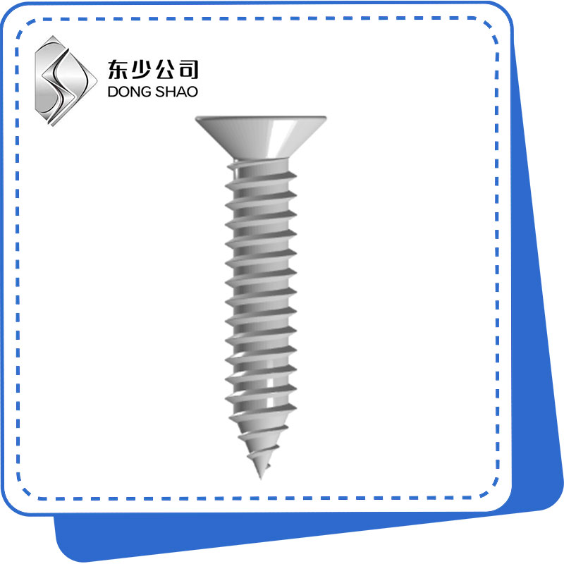 Cross Recessed Countersunk Caput sui Tapping Cochleas